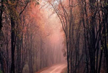 朗尼克:图赫尔退役后在酒吧打工谋生,我打电话邀他来当教练.