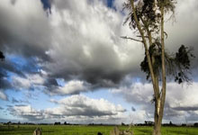 熊猫体育：[高尔夫]伍兹儿子特朗普孙女同场比赛 刘宇婕任怡嘉参赛.