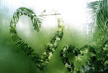 熊猫体育:德约百冠梦想未竟,门希克捧杯,05后首成大师.