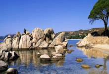 亚冬会|冰雪运动引领冰雪经济成为新增长点2025-02-05.